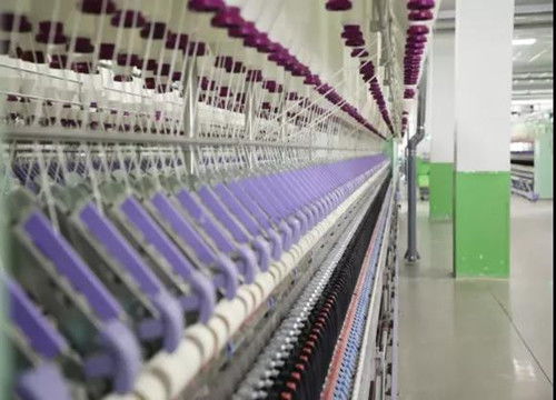 市委書(shū)記林彬楊深入我縣調(diào)研產(chǎn)業(yè)用紡織制成品制造發(fā)展情況