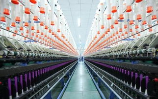 冀魯豫紡織企業(yè)訂單困境與勞動(dòng)保護(hù)用品市場(chǎng)轉(zhuǎn)型路徑