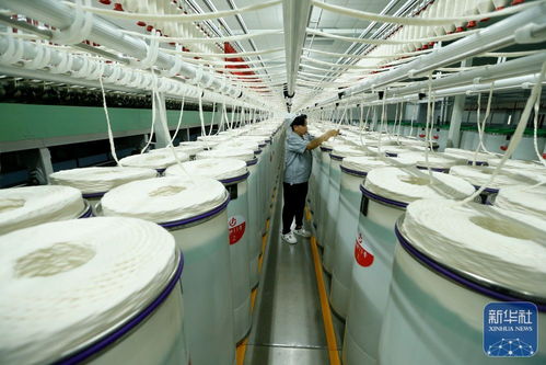 山東即墨智慧紡紗生產線 引領紡織產業升級與勞動保護用品創新