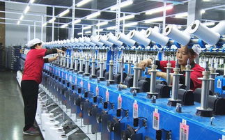 東西扶貧協作給力 我縣紡織主導產業快速成型